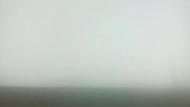 Рисую лапку смотреть онлайн