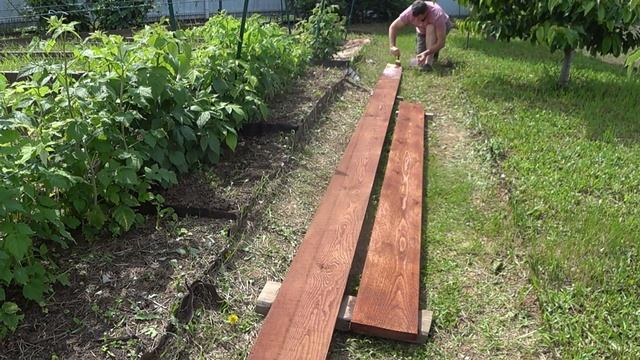 Как одеть грядку на растущий ряд малины смотреть онлайн