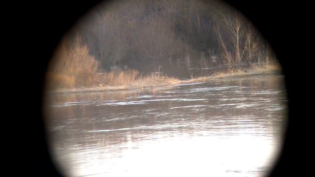 Паводок. Река Бузулук. Разлило. Два дня спустя 6.04.18 смотреть онлайн