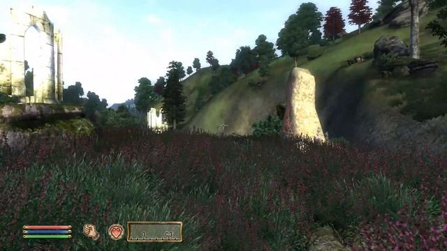 TES4 OBLIVION 2021 ГАЙД: САМЫЙ СИЛЬНЫЙ РУКОПАШНЫЙ ВОИН СИРОДИЛА!