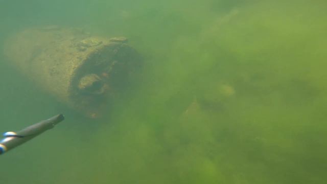 Карасиное царство Урала. Подводная охота Spearfishing смотреть онлайн