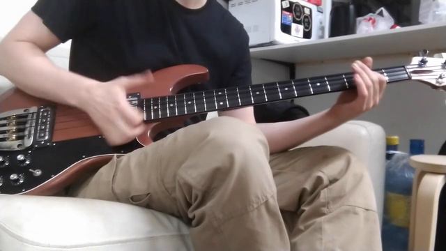 Ovation Magnum with d'Addario ETB strings смотреть онлайн