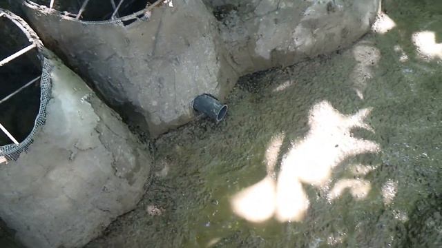 Пруд во дворе дома своими руками | Часть 3 - Цементирование смотреть онлайн