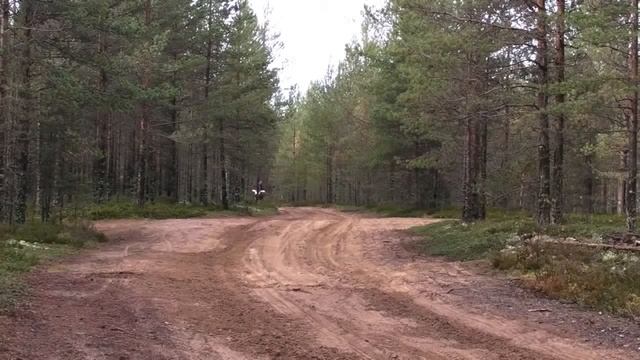 На что способна Honda XRV 750 Africa Twin смотреть онлайн