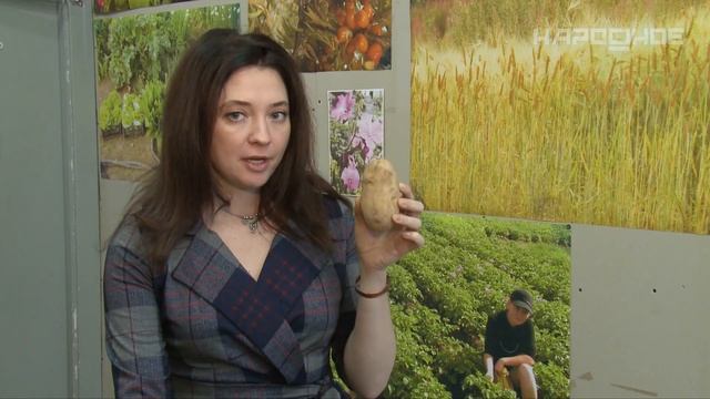 Как ухаживать за огородом? смотреть онлайн