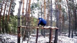 Отдых в лесу с друзьями, строим шалаш на дереве