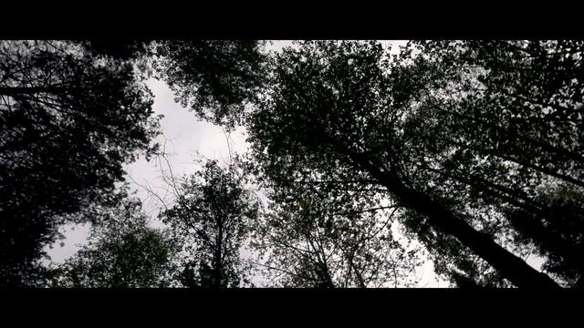 САМОИЗОЛИРОВАННЫЙ ПОХОД - ГОРА ШУНУТ смотреть онлайн