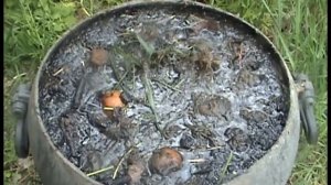 Травяная бродилка зачем добавлять золу