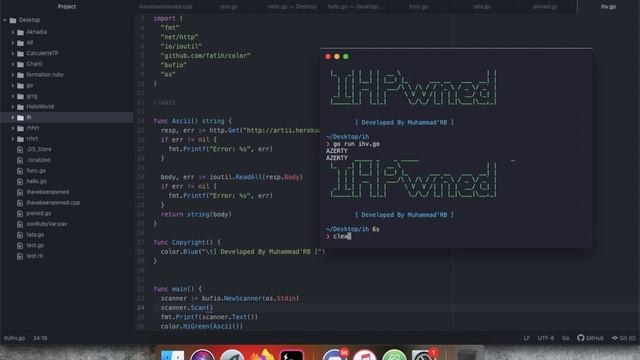 SpeedCoding API ihavebeenpwned in Golang - Easy смотреть онлайн