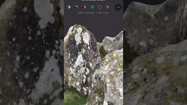 Lidar scan from a megalithic tomb смотреть онлайн
