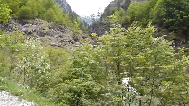 Bad Rotenbrunnen, Austria . Поход по молодой зелени. Австрия, Форарльберг. смотреть онлайн