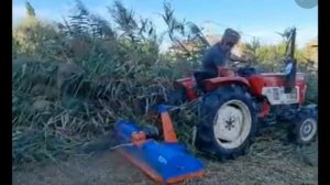 Работа мульчером на минитракторе, покос травы, поросли, кустарника