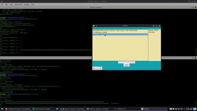 PyChat development time-lapse #2 (python socket chatroom) смотреть онлайн