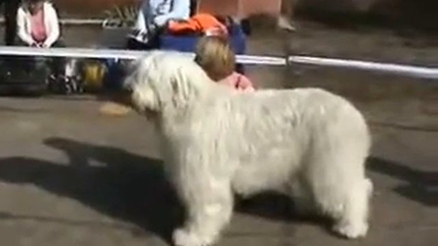 Ливень Лютый смотреть онлайн