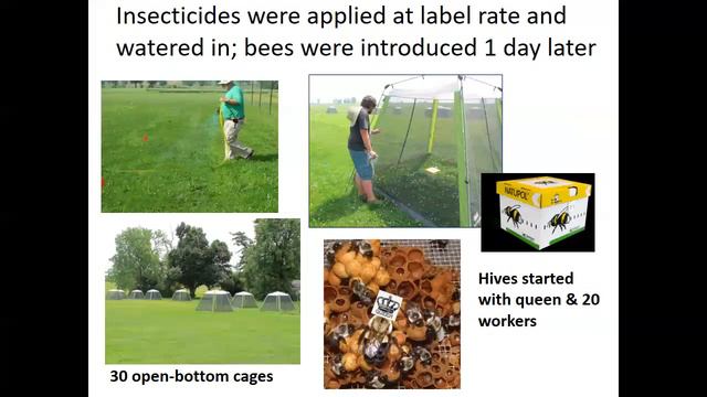 Bees, Pesticides, and Politics смотреть онлайн