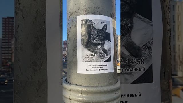 сколько км вы максимум проходили? смотреть онлайн