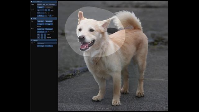 What Photoshop Can't Do, DragGAN Can! See How! смотреть онлайн