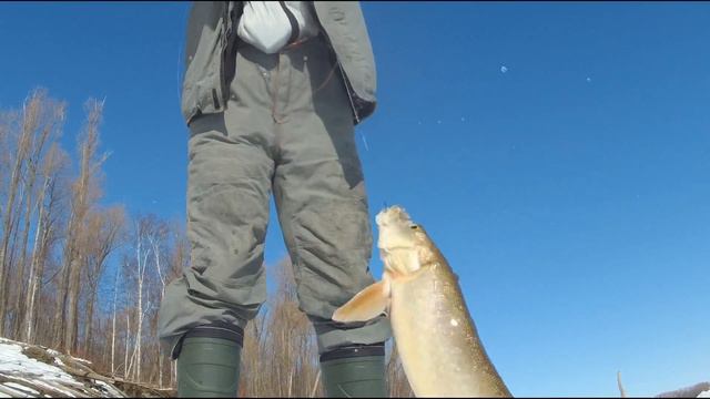 Крупный окунь на ВИБЫ и Nord Waters1 (Северные мастерские) смотреть онлайн