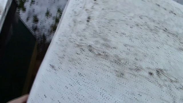 ВОТ И ДУМАЙ,стоит ли зимовать на сетке со стенкой 22мм?! смотреть онлайн