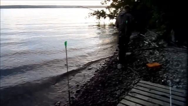 Рыбалка на сома-Ловля сома в июле-Рыбалка на Сурском водохранилище смотреть онлайн