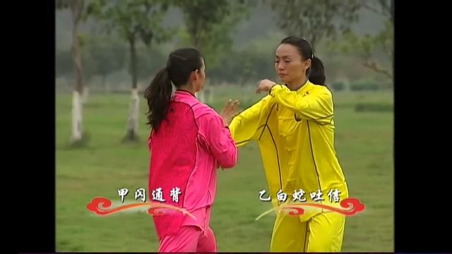 3 дуань тайцзи Ян дуйлянь. Требования к экзаменам IWUF. смотреть онлайн