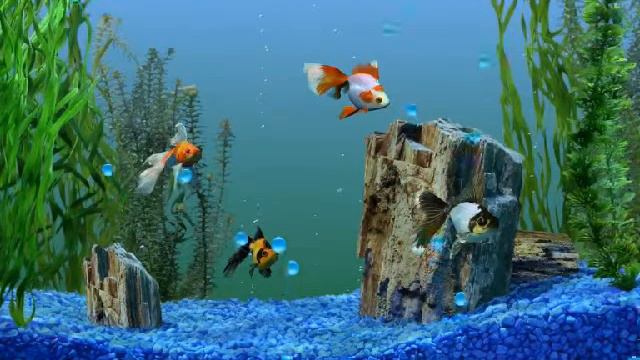 ФУТАЖИ - КРАСИВЫЙ ПЕЙЗАЖ АКВАРИУМА ДЛЯ ВИДЕОМОНТАЖА смотреть онлайн