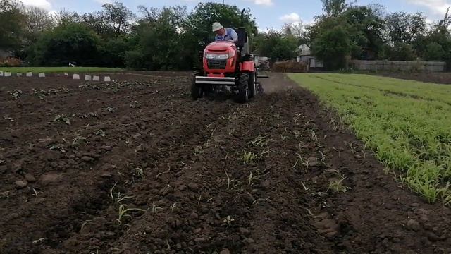 Універсальна рама для їжаків та підгортачів картоплі. Прополка Їжаками смотреть онлайн