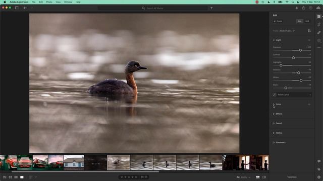How to Reset all Edits & Changes in Adobe Lightroom смотреть онлайн
