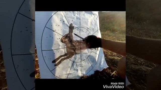 Обзор и отстрел ружей,ТОЗ БМ и ИЖ 27 Е 16 кал смотреть онлайн