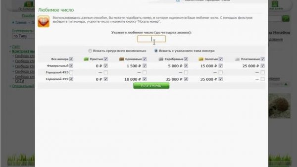 Заказ тарифного плана и выбор номера на MegaFon.ru (4/18)