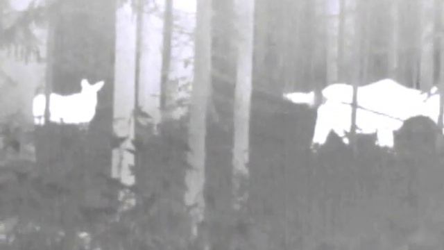 ваба, лось смотреть онлайн