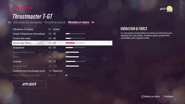 Dirt Rally 2.0 T-gt Setup