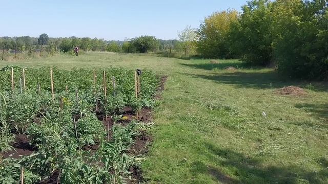 РУМ ТУР? экскурсия по деревенскому домику?, по даче// и, не только// смотреть онлайн