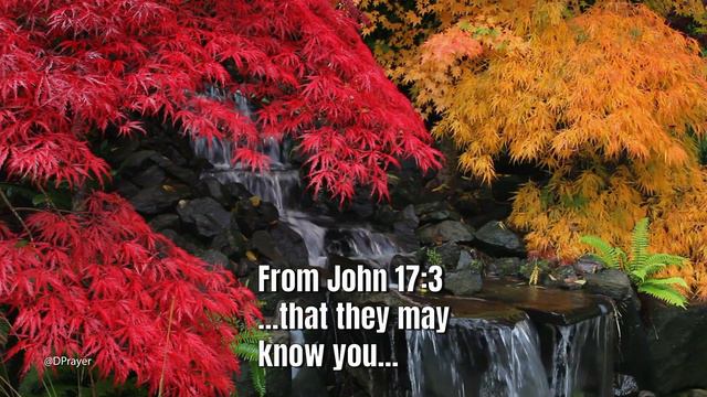 Relaxing Piano + Waterfall Sounds 1 Hour | Christian Music Time Alone with the Lord Part 2 #004 смотреть онлайн