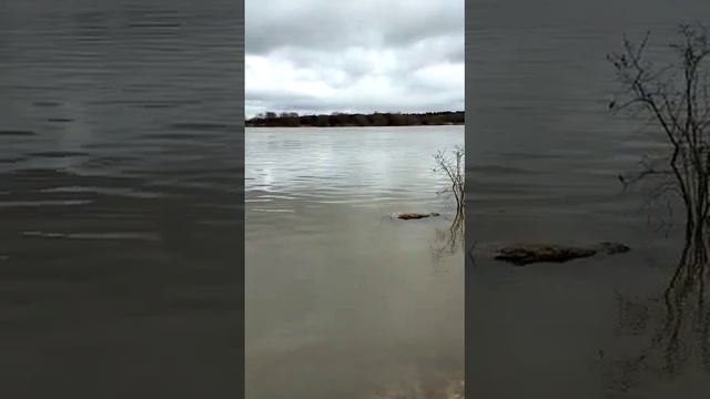 Таруса. река Ока смотреть онлайн