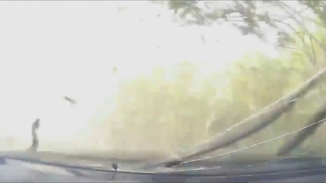 БеломесТВ Другая дорога смотреть онлайн