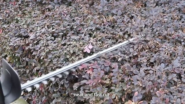 Sunray Power 3-Position 180° Rotatable Handle 26cc Hedge Trimmer смотреть онлайн