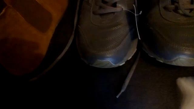 Лепта для малоимущих пенсионеров... смотреть онлайн