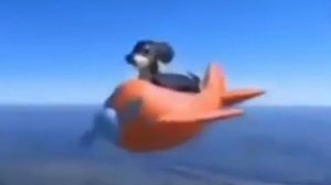 собака на самолете папа па па папапа