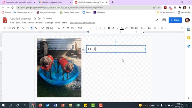 Canvas Course Dashboard Image смотреть онлайн