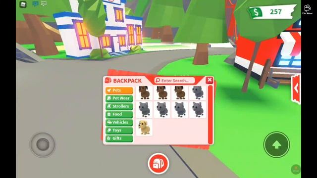 My new account inventory 《Roblox adopt me》 смотреть онлайн