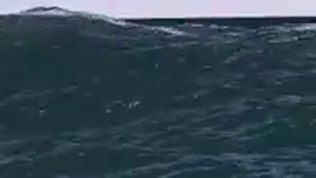 Ocean Wave test 3 Blender смотреть онлайн