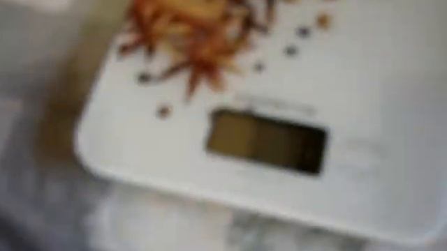 Весы домашние Polaris смотреть онлайн