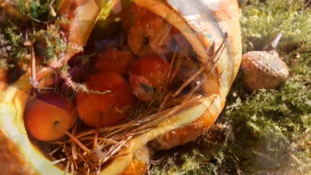 Осенняя поделка из природного материала. Тыква, подсолнух, желуди, яблоки, листья, дерево, шишки. смотреть онлайн