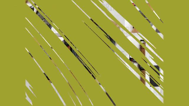 купить кварцевые часы наручные недорого