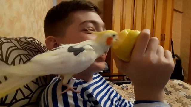 Веня решил надо делиться смотреть онлайн