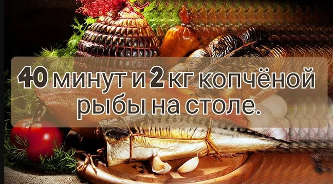 40 минут и 2 кг копченой рыбы на столе смотреть онлайн