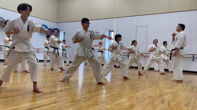 Kyokushin Class смотреть онлайн