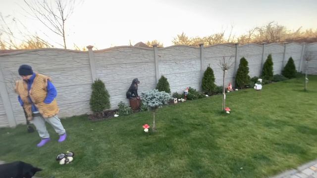 Отзанимался! Накрыли розы ? и сделали торшеры смотреть онлайн