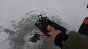 Зимняя рыбалка с эхолотом Garmin Striker 4 plus. Лучше эхолота практик?